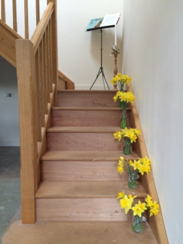 daffodils lining the stairs