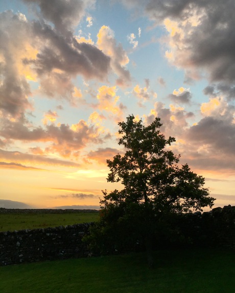 Peach and blue and yellow sunset in a cloudy sky, with a small silhouetted oak tree in the foreground