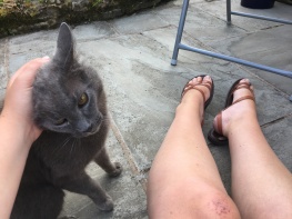 Legs on a patio, and beside them a grey cat with its head being fondled by Katie's hand